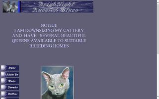 Brightlight Russian Blue Cattery