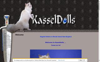 Kasseldolls Cattery