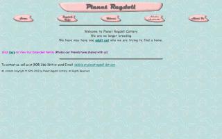 Planet Ragdoll Cattery