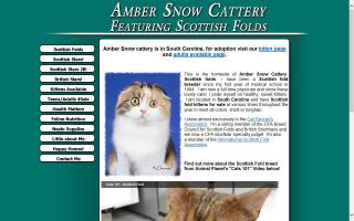 Amber Snow Cattery