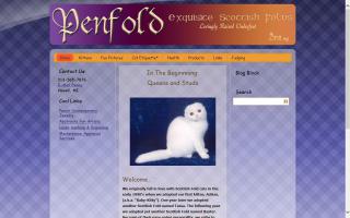 PenFold Scottish Fold Cattery