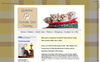 Quietimes Scottish Fold Cattery