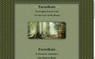 Forestkatz Norwegian Forest Cats