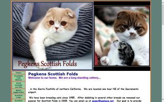 Pegkens Scottish Folds