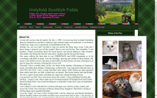 HolyFold Cattery