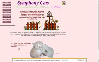 Symphony Cats