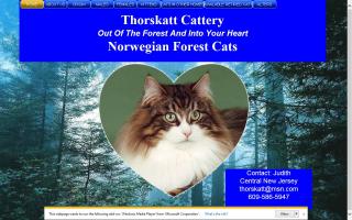 Thorskatt Cattery