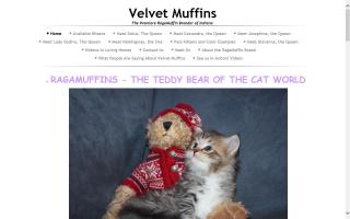 Velvet Muffins