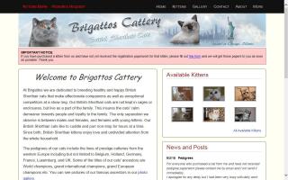 Brigattos Cattery