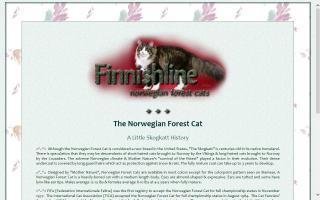 Finnishline Norwegian Forest Cats