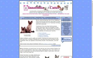 Innocentia Cattery