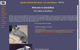 DandyBlue Cattery