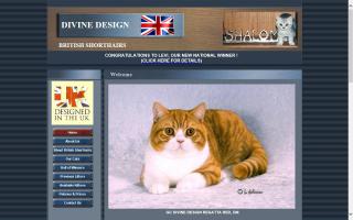 Divine Design British Shorthairs