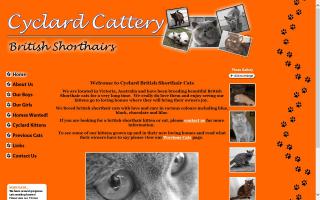 Cyclard Cattery