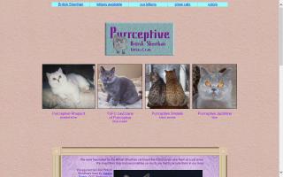 Purrceptive