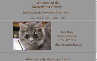 Mesterkatter Cattery